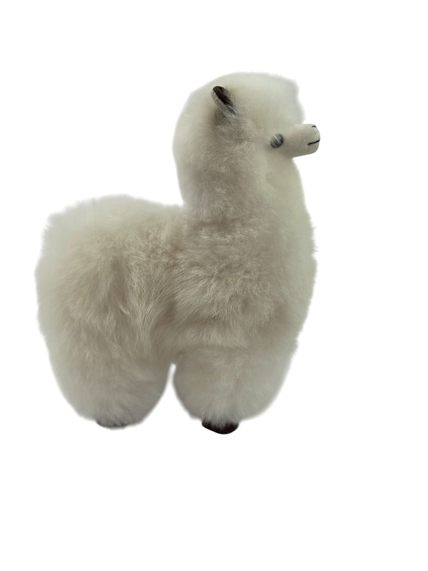 Baby Alpaca Stuffed Animal Doll Size Medium 9"